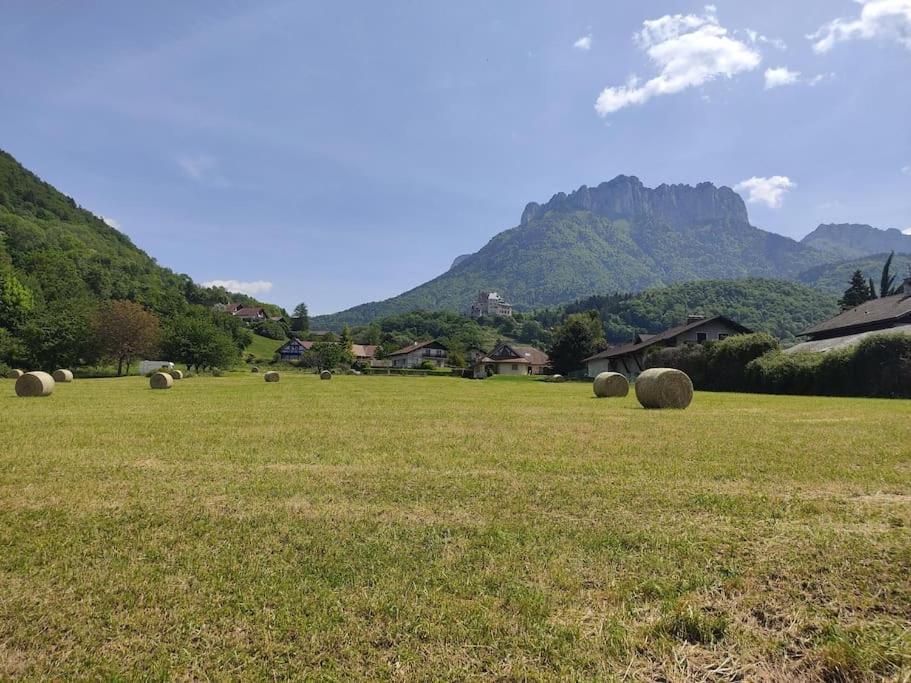 Bel Appartement Au Calme A 5 Minutes Du Village Menthon-Saint-Bernard Εξωτερικό φωτογραφία